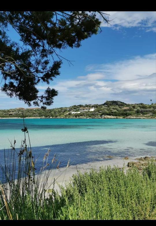 B&B Marina Olbia Exteriör bild